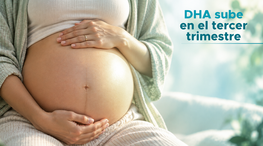 Omega-3 en el embarazo: lo que dice la evidencia